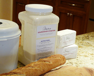 sourdough-starter-product